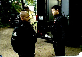 Perfect Hideout - DVD