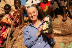 Jane`s Journey - The Life Journey of Jane Goodall - DVD