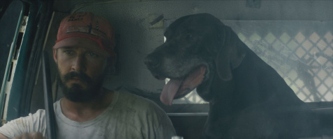 The Peanut Butter Falcon