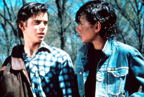 The Outsiders - The Complete Novel - DVD