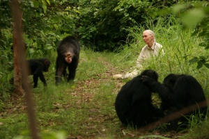 Jane`s Journey – Die Lebensreise der Jane Goodall - DVD