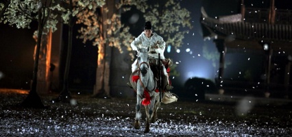 Detective Dee und das Geheimnis der Phantomflammen – DVD