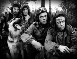 Vier Panzersoldaten und ein Hund - Die komplette Serie – DVD