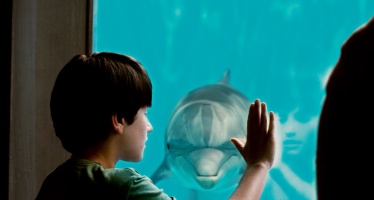 Mein Freund, der Delfin