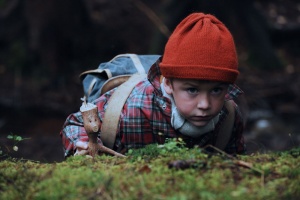 Mein Freund Knerten – DVD