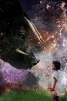 Beasts of the Southern Wild