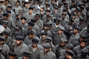 The Butterfly`s Dream - Kelebeğin Rüyasi