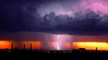 What / Why in the World are they spraying - DVD