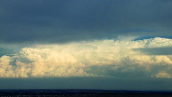 What / Why in the World are they spraying - DVD