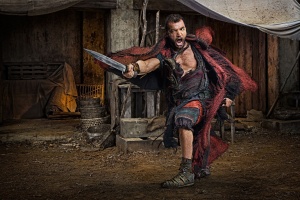 Spartacus: Vengeance Staffel 2 – DVD