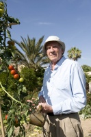 Mad Dogs – Staffel 2 – DVD