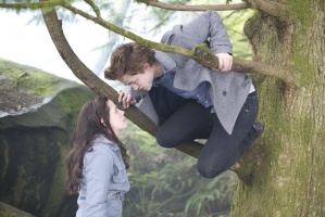 Die Twilight Saga – Bis(s) in alle Ewigkeit Complete Collection - DVD