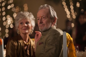 Best Exotic Marigold Hotel 2