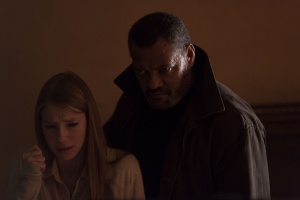 Standoff – Die einzige Zeugin– Blu-ray