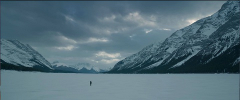 The Revenant – Der Rückkehrer – Blu-ray