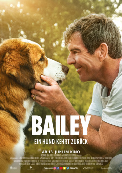 Bailey - A Dog Returns