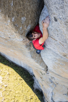 Free Solo