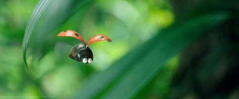 The Tiny Ones - Adventures in the Caribbean