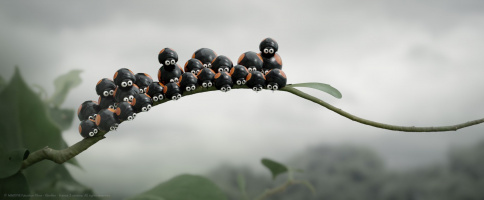 The Tiny Ones - Adventures in the Caribbean