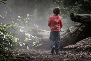 The Five - The Complete Series - DVD