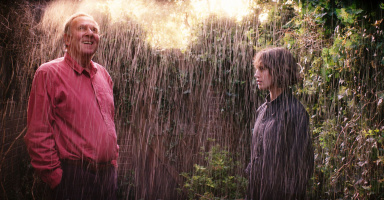 The Wonderful Garden of Bella Brown - DVD