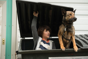 Max - Agent on Four Paws