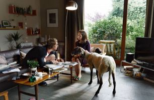 The Flowers of Yesterday