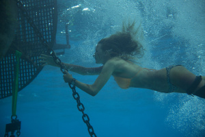 The Shallows - Danger from the Deep - DVD