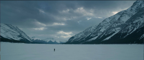 The Revenant - Blu-ray