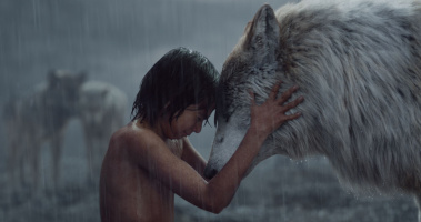 The Jungle Book