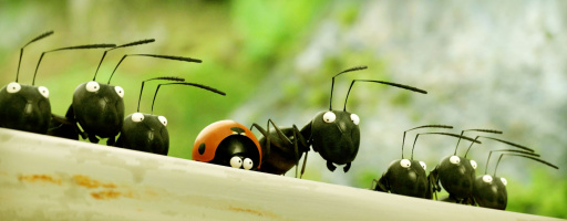 The Tiny Ones - Operation Sugar Bowl