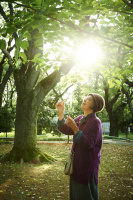Cherry Blossoms and Red Beans