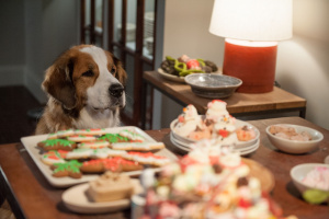 Every Year Again - Christmas with the Coopers