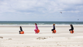 Divas in the Ring - DVD