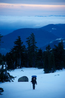 The Big Trip - Wild - Blu-ray