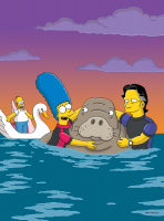 The Simpsons - Season 17 - DVD