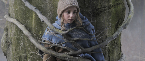 The Legend of the Christmas Star - DVD