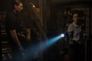 Gone Girl - The Perfect Victim