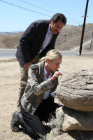 The Bridge - The Complete Season 1 - DVD