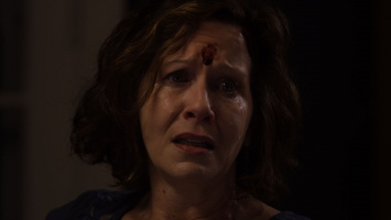 The Bleeding House - DVD