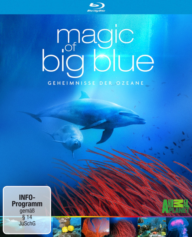 Blue secret. Стоун оушен Блю Рэй. P&S Blue.
