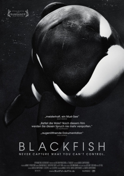 Blackfish