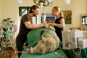 Doc meets Dorf - Season 1 - DVD