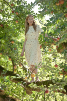 The Taste of Apple Seeds