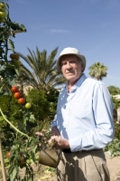 Mad Dogs - Season 2 - DVD