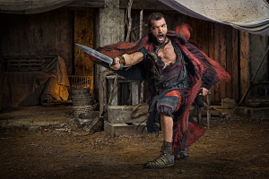 Spartacus: Vengeance Season 2 - DVD
