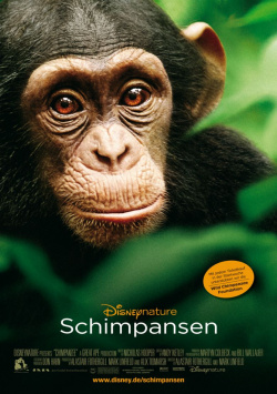 Chimpanzees