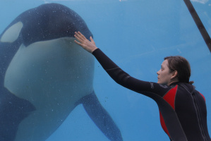 The Taste of Rust and Bone