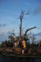 Beasts of the Southern Wild