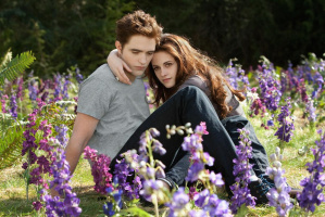 Breaking Dawn - Until(s) the End of the Night Part 2